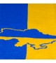 Шарф Жовто-блакитний з гербом та картою України
