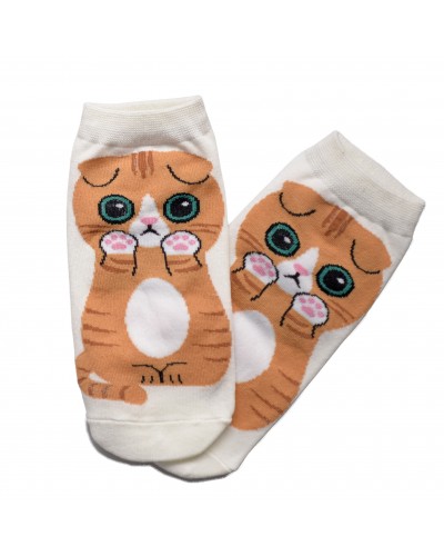 Шкарпетки Scottish Fold