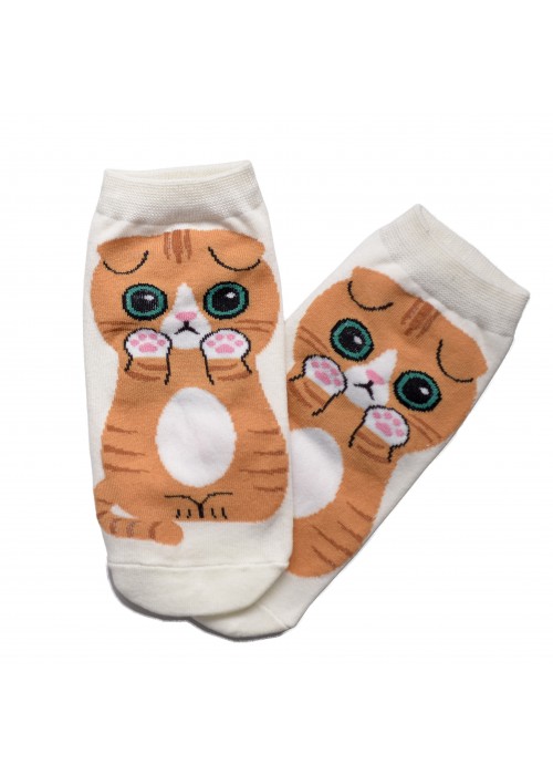 Шкарпетки Scottish Fold