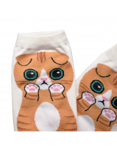 Шкарпетки Scottish Fold
